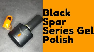 Born Pretty Black Spar Series Gel Polish | Nail's Makeover #Shorts