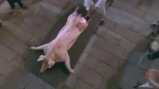 Best fight scenes kungfu chef