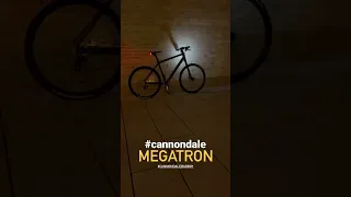 Cannondale Bad Boy Megatron