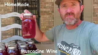 Homemade Muscadine Wine