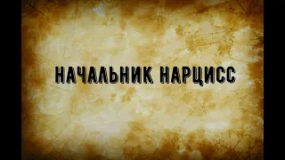 Начальник нарцисс