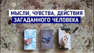 Мысли, чувства, действия загаданного человека | 3 варианта | Гадание онлайн | Таро расклад