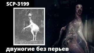 SCP - 3199 Двуногие без перьев | Что за существа, способности, условия содержания