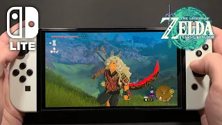 The Legend Of Zelda: Tears Of The Kingdom on Nintendo Switch OLED #46