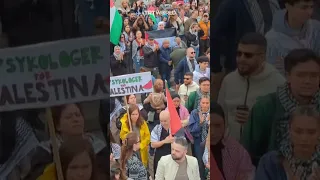 Pro-Palestine protests in Sweden against Israel’s Eurovision inclusion