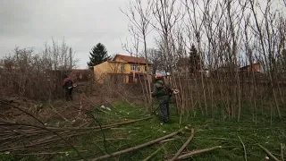 Почистване на обрасъл двор с Stihl FS490