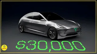 $30,000 Tesla?! New update Shocks Fans! (2024)