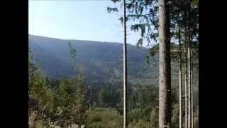 Wanderung durch das Okertal/Harz