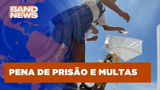 PL que proíbe uso de cerol em pipas segue para o Senado | BandNews TV