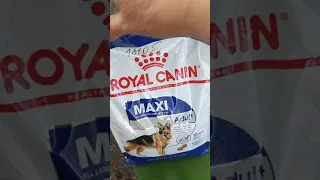 Royal Canin Maxi Adult - корм для собак крупных пород