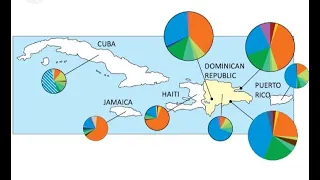 Comparison between the Dominican Republic and Haiti (DNA Topic)