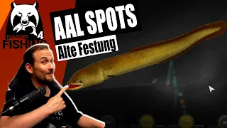 Russian Fishing 4 - Alte Festung - Aal Spots