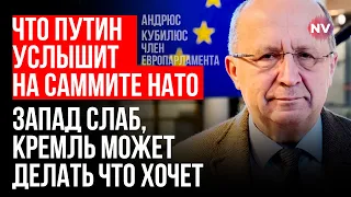 Після Бухареста НАТО залишило Україну у сірій зоні – Андрюс Кубілюс