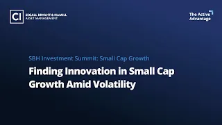 Finding Innovation in Small Cap Growth Amid Volatility