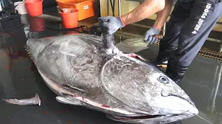 Over 300 kg giant bluefin tuna cutting luxurious Sashimi - Taiwan street food