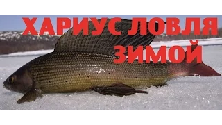 CATCHING GRAYLING IN WINTER.THE RIVER REACH.