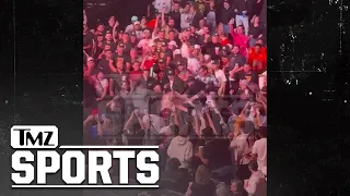 Audience Brawl Breaks Out During UFC Fight Night 237 | TMZ Sports