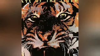 Survivor - Eye of the Tiger