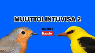 Muuttolintuvisa 2/3