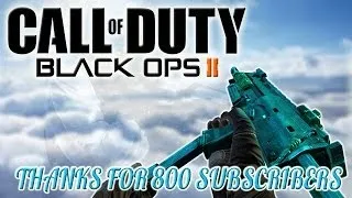 Black Ops 2: Gun Sync - Hell & Back | Thanks For 800 Subscribers
