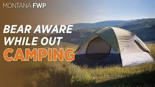 Bear Aware While Camping