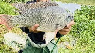 Unbelievable Cast Net Fishing || Fishing in rivers with throwing nets | A VERY INTERESTING TRAP