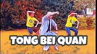 SHAOLIN | Tong Bei Quan Practice