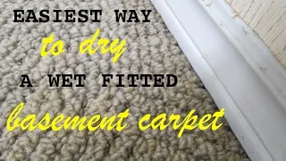 How to ● Dry a Wet Fitted Basement Carpet  ( With Little Effort ! )