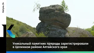 Уникальный памятник природы зарегистрировали в Целинном районе Алтайского края