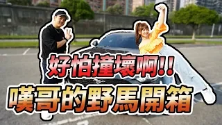 婕翎-福特野馬美式經典肌肉車，就是兇猛！（ft.6tan)