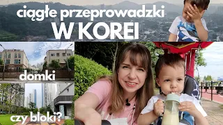 Czemu KOREAŃCZYCY CIĄGLE SIĘ PRZEPROWADZAJĄ? Gdzie ja się przeprowadzam?  - Daily vlog z Korei