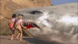SUPER SHARK MUSIC VIDEO SHARK ATTACK