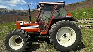 RESTAURO FIATAGRI 80-90 DT / Azienda Agricola “Le Roncacce”