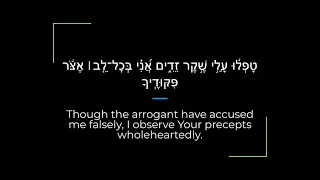 Psalm 119 Zabur/Tehillim Sephardi Hebrew Canting/Recitation with English