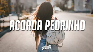 Jovem Dionisio - ACORDA PEDRINHO (LAMIC REMIX) Extended