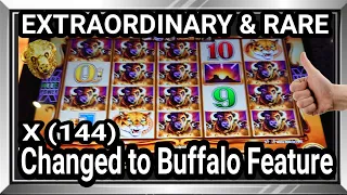 ⚠️Extraordinary Jackpot in´´Changed  to Buffalo´´- Buffalo Revolution Slot