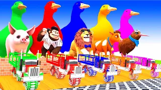 5 Giant Duck, Monkey, Piglet, chicken, dog, cat, lion, cow, Sheep, Transfiguration funny animal 2024