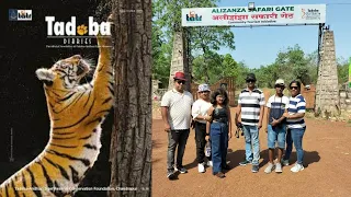 Tadoba  National Park Jungle Safari | Spotted Chota Matka And Jharni with Their Cub