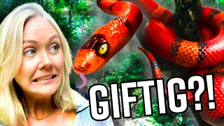 FACING OUR FEAR OF SNAKES | Team Galant