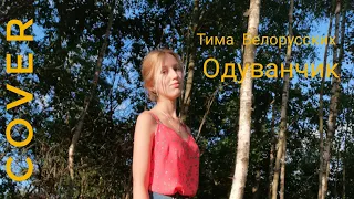 Одуванчик-Тима Белорусских (cover)