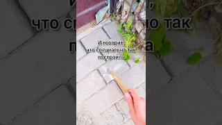 вынес точки и проверил границу соседке 📍