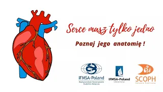 Serce masz tylko jedno - poznaj jego anatomię