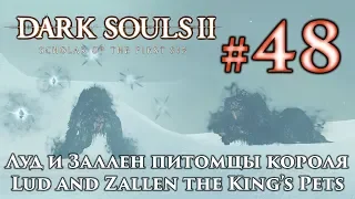 Луд и Заллен питомцы короля: Dark Souls 2 / Дарк Соулс 2 - тактика как убить, как победить босса ДС2