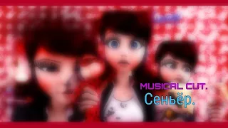 Musical Cut. || Сеньёр || — Клип Леди Баг и Супер Кот for. ×14 февраля×•