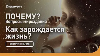 Как зарождается жизнь? | Почему: вопросы мироздания | Discovery