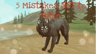 5 Mistakes NOT to Make || WildCraft