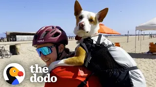 Rescue Dog Was Scared Of The World Until She Went On A Bike Ride With Mom | The Dodo Soulmates