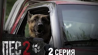 Сериал Пес - 2 сезон - 2 серия