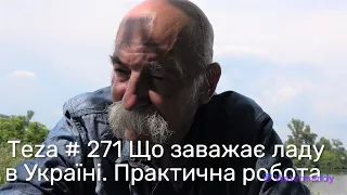 Asparuh8 Теza # 271 Що заважає ладу в Україні. Практична робота.