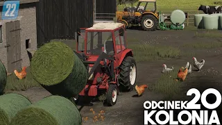 Kupiłem KURCZĘTA?! [20] Podwórko Kolonisty 👩‍🌾▶ Map: KOLONIA